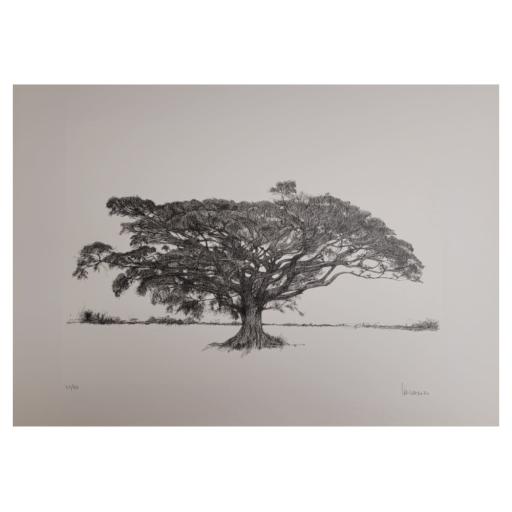 Árvores #1, José Paiva | 2020 (SEM MOLDURA)