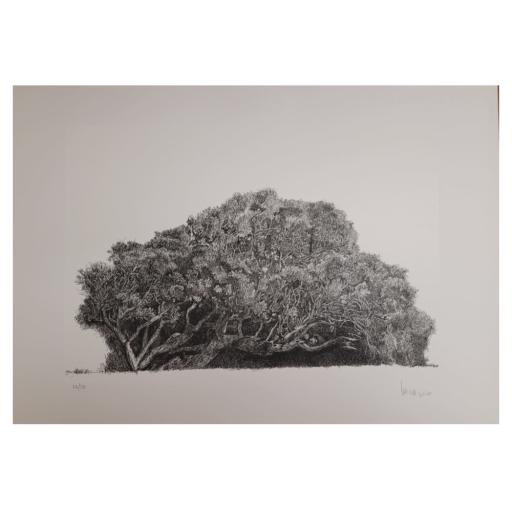 Árvores #3, José Paiva | 2020 (SEM MOLDURA)