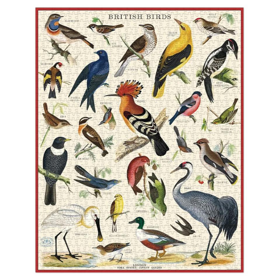 Puzzle Cavallini 1000 pçs 55X70cm British Birds