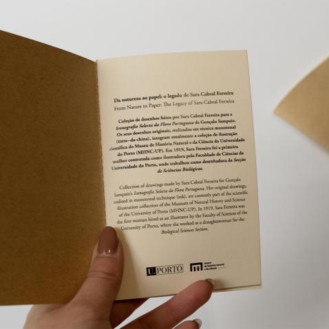 Caderno Herbarium | A6 - Feno-de-cheiro-anual, UP