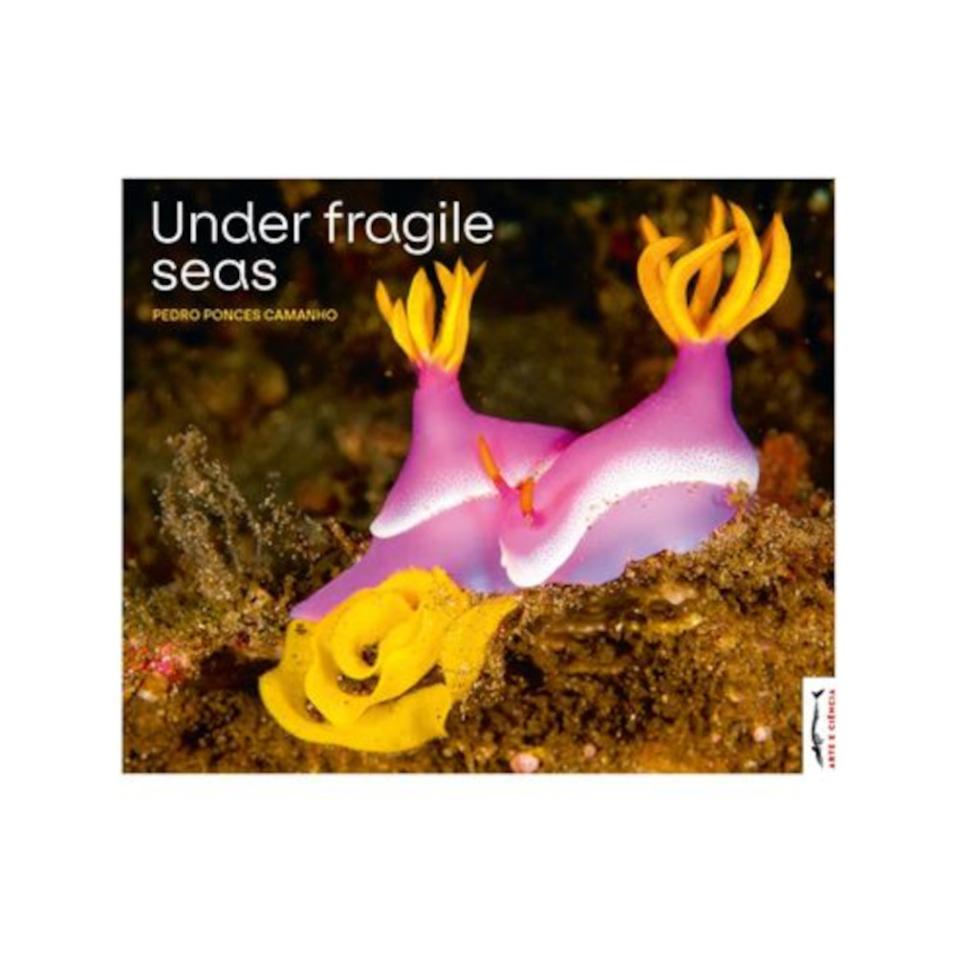 Under Fragile Seas