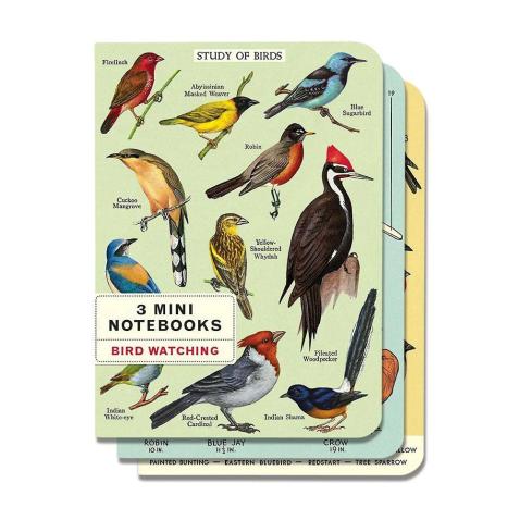 Mini caderno Cavallini 10x14cm c/3 Bird Watching