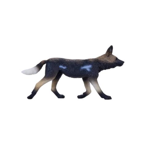 Leão Marinho Californiano