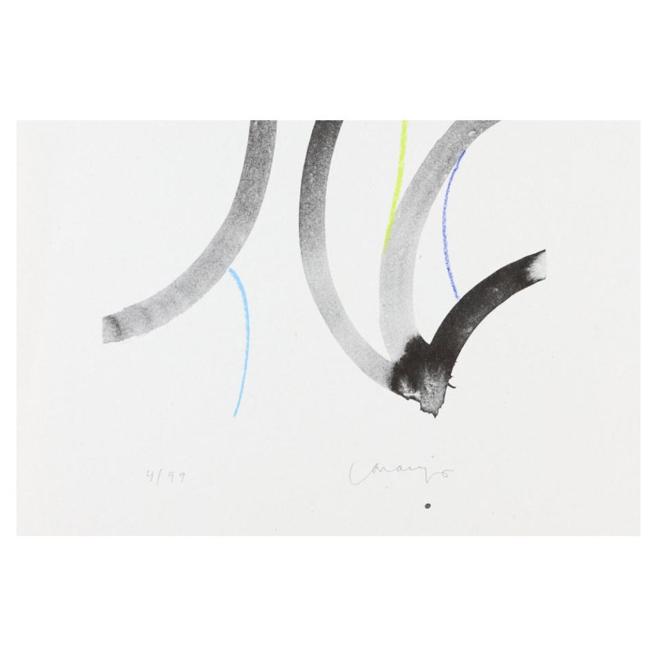 Serigrafia Risoprint 2 | 2017 | com moldura