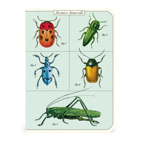 Mini caderno Cavallini 10x14cm c/3 Bugs & Insects