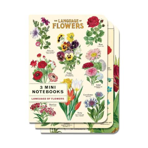Mini caderno Cavallini 10x14cm c/3 Language of Flors