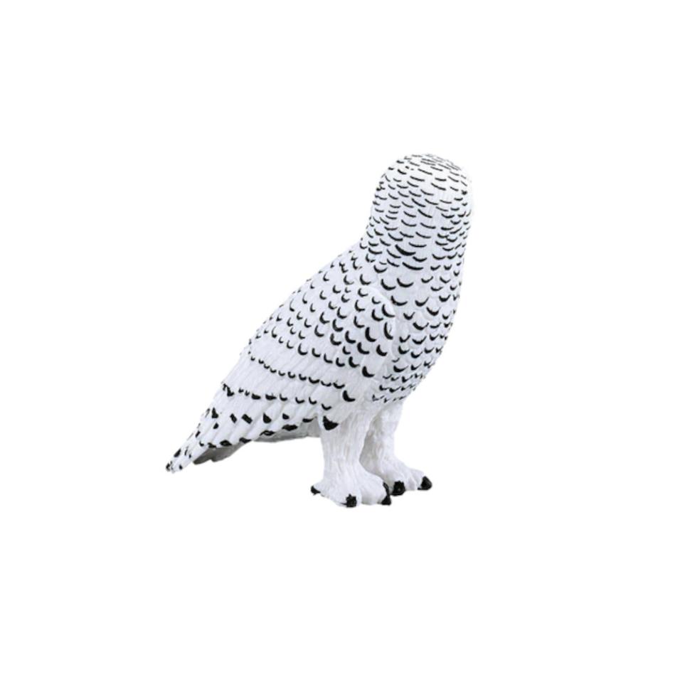 Coruja das Neves - M