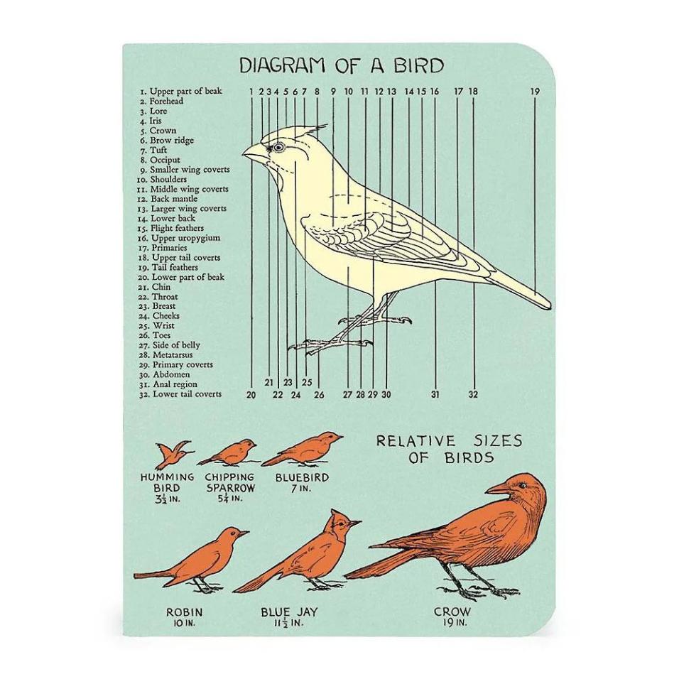 Mini caderno Cavallini 10x14cm c/3 Bird Watching