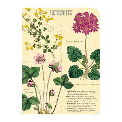 Mini caderno Cavallini 10x14cm c/3 Herbarium