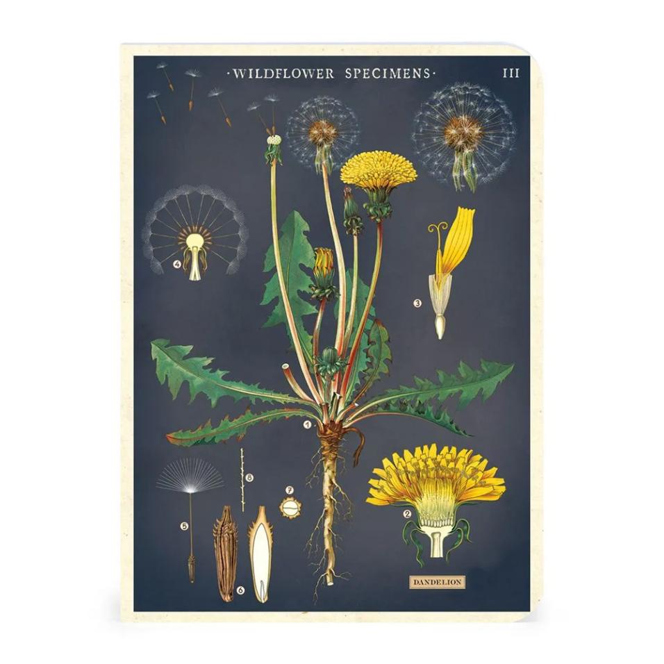 Mini caderno Cavallini 10x14cm c/3 Wildflowers