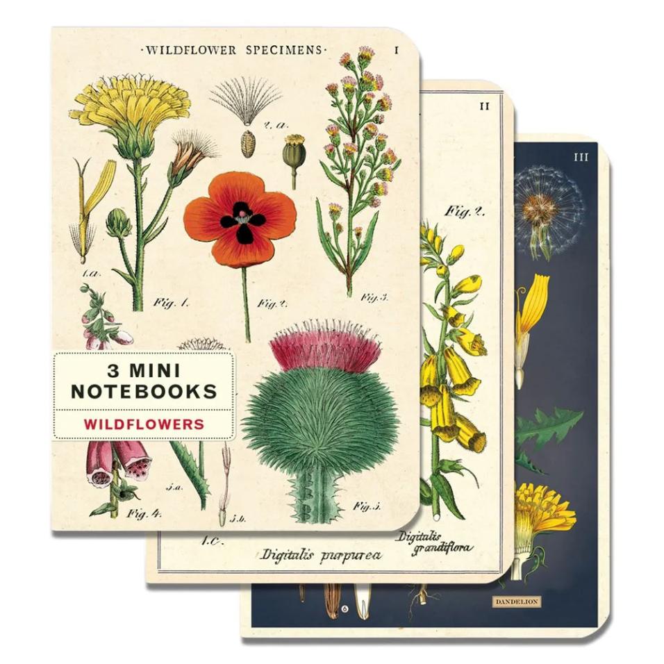 Mini caderno Cavallini 10x14cm c/3 Wildflowers