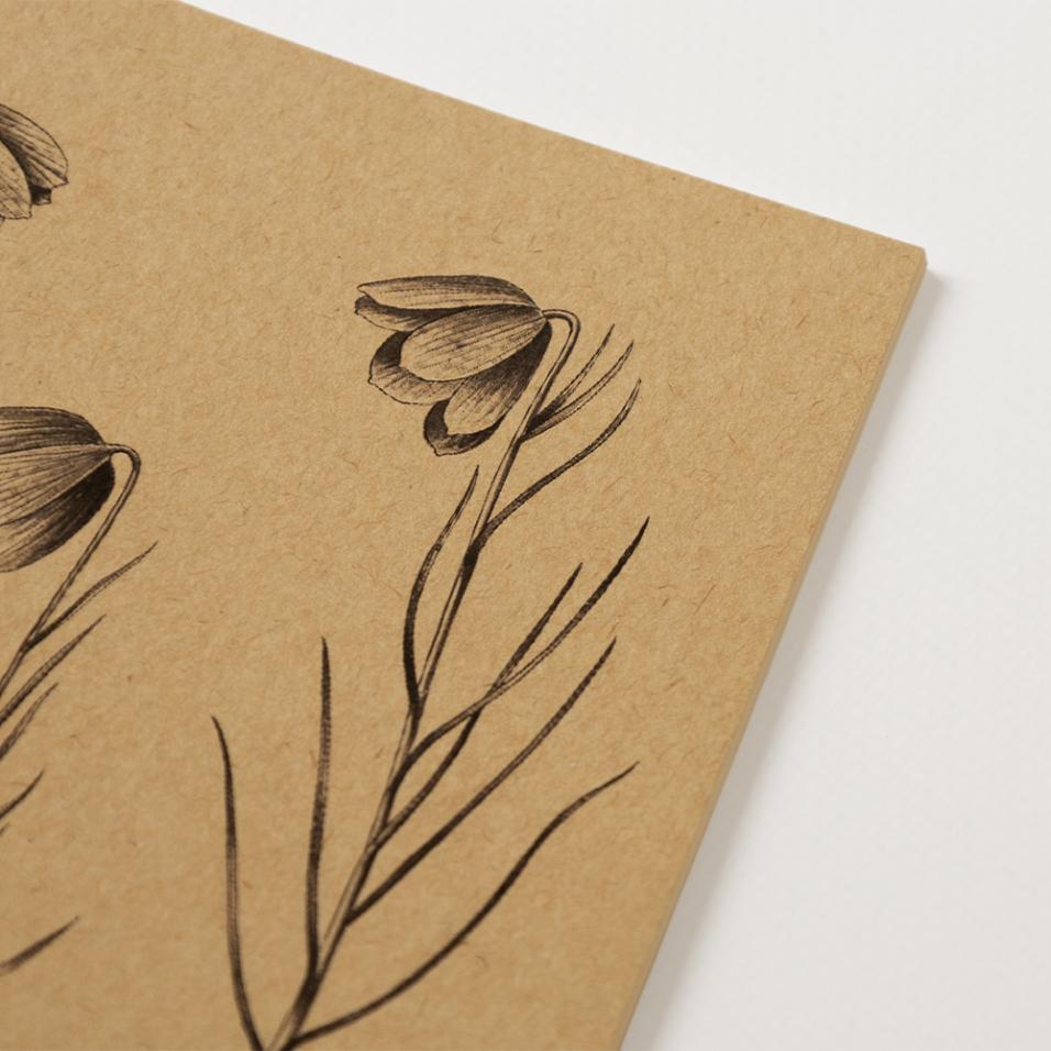 Caderno Herbarium | A5 - Fritilária-lusitânica, UP
