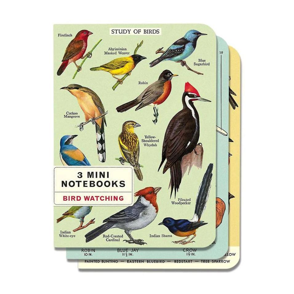 Mini caderno Cavallini 10x14cm c/3 Bird Watching
