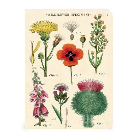 Mini caderno Cavallini 10x14cm c/3 Wildflowers