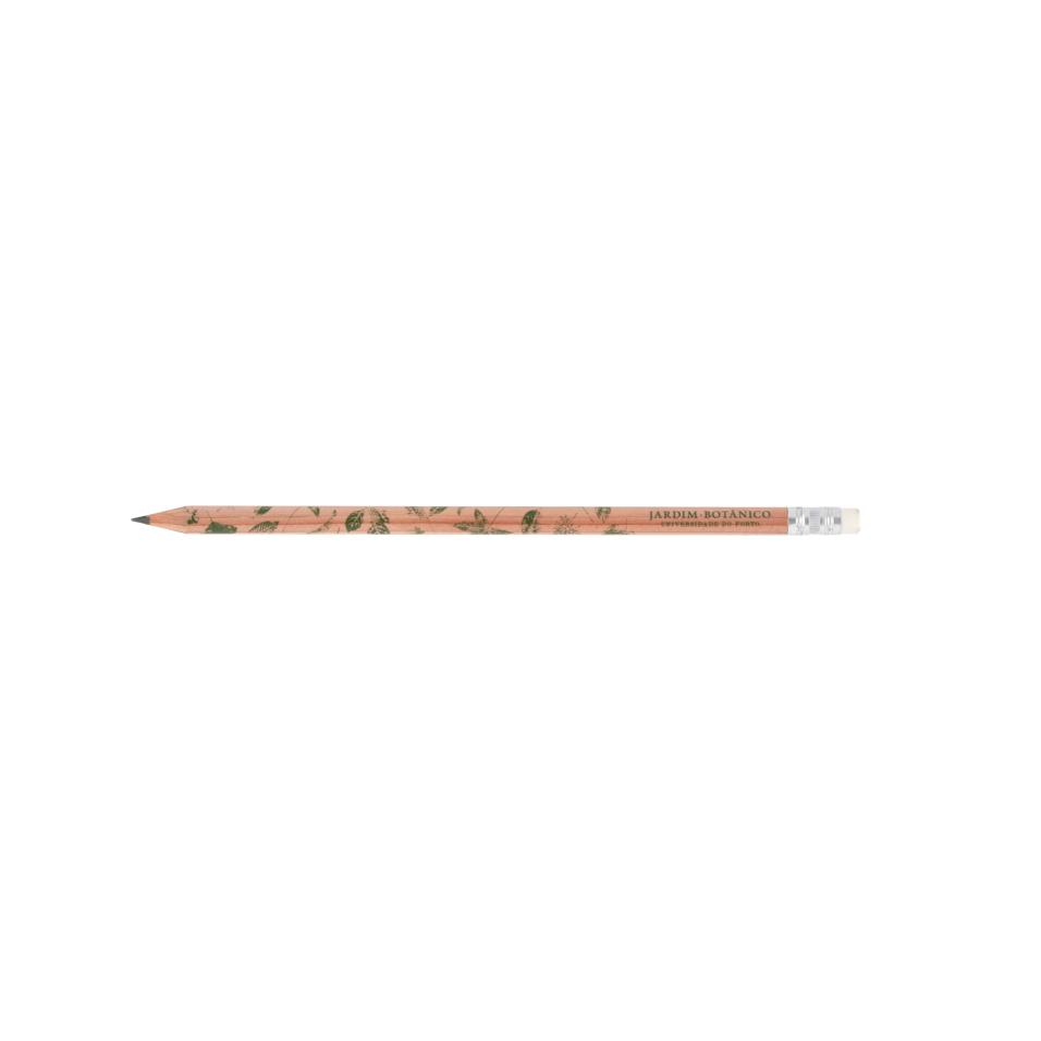 Lápis de cor natural com borracha branca