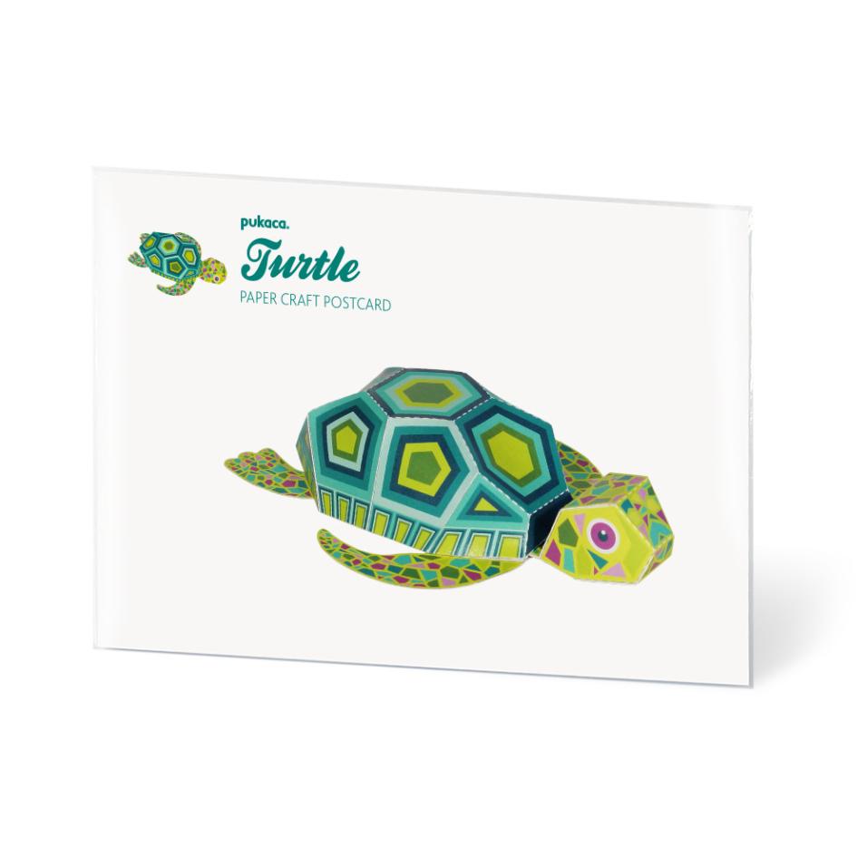 Postcard | Turtle