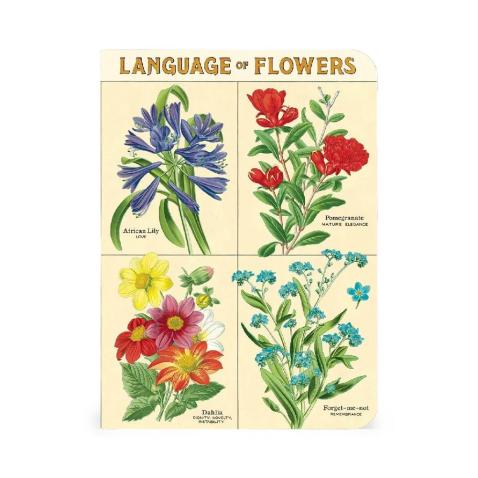 Mini caderno Cavallini 10x14cm c/3 Language of Flors