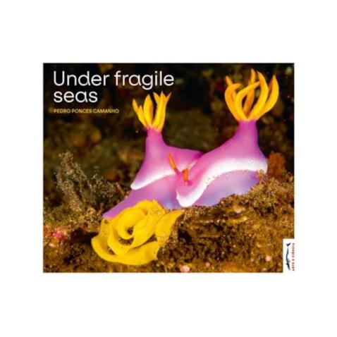 Under Fragile Seas