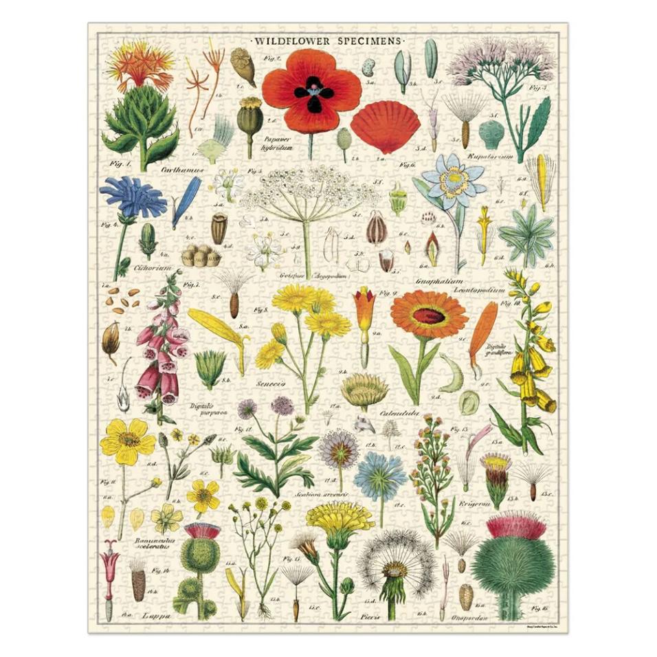 Puzzle Cavallini 1000 pçs 55X70cm Wildflowers