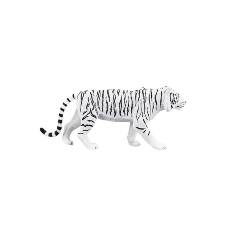Tigre Branco | XL