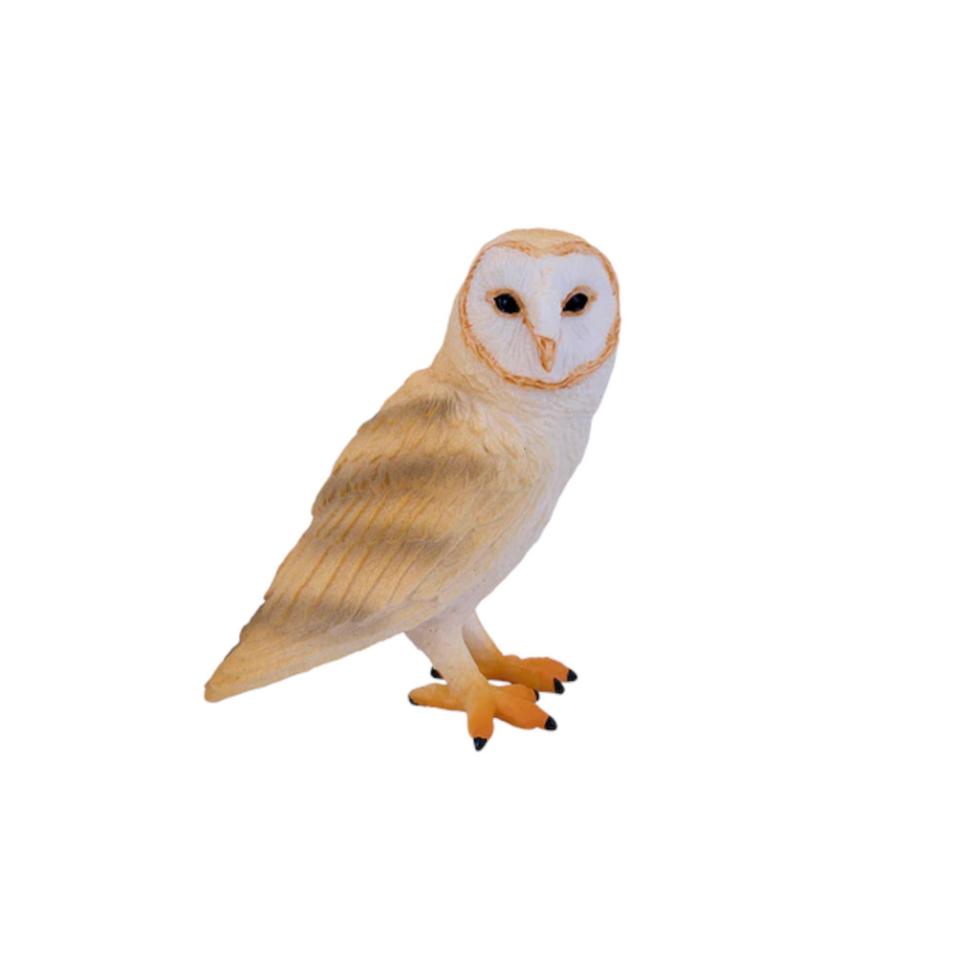 Coruja das Torres | M