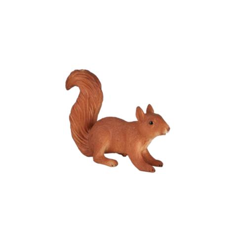 Esquilo a Correr | S