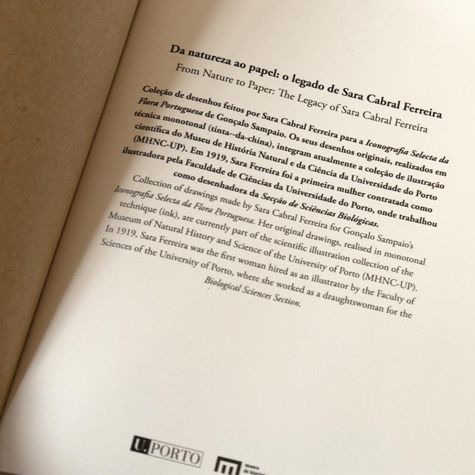 Caderno Herbarium | A5 - Feno-de-cheiro-anual, UP