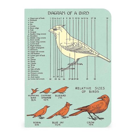 Mini caderno Cavallini 10x14cm c/3 Bird Watching
