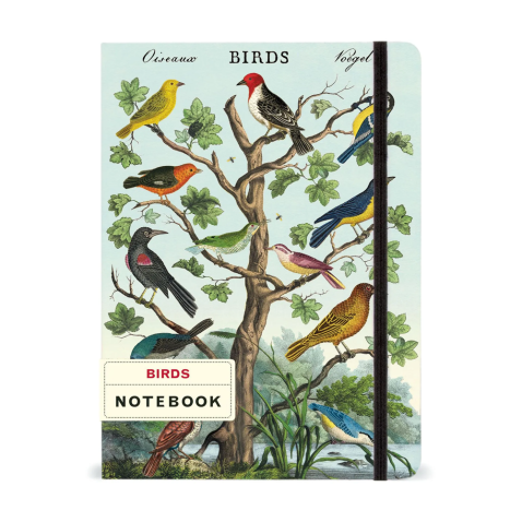 Caderno grande Cavallini 15x20cm Birds
