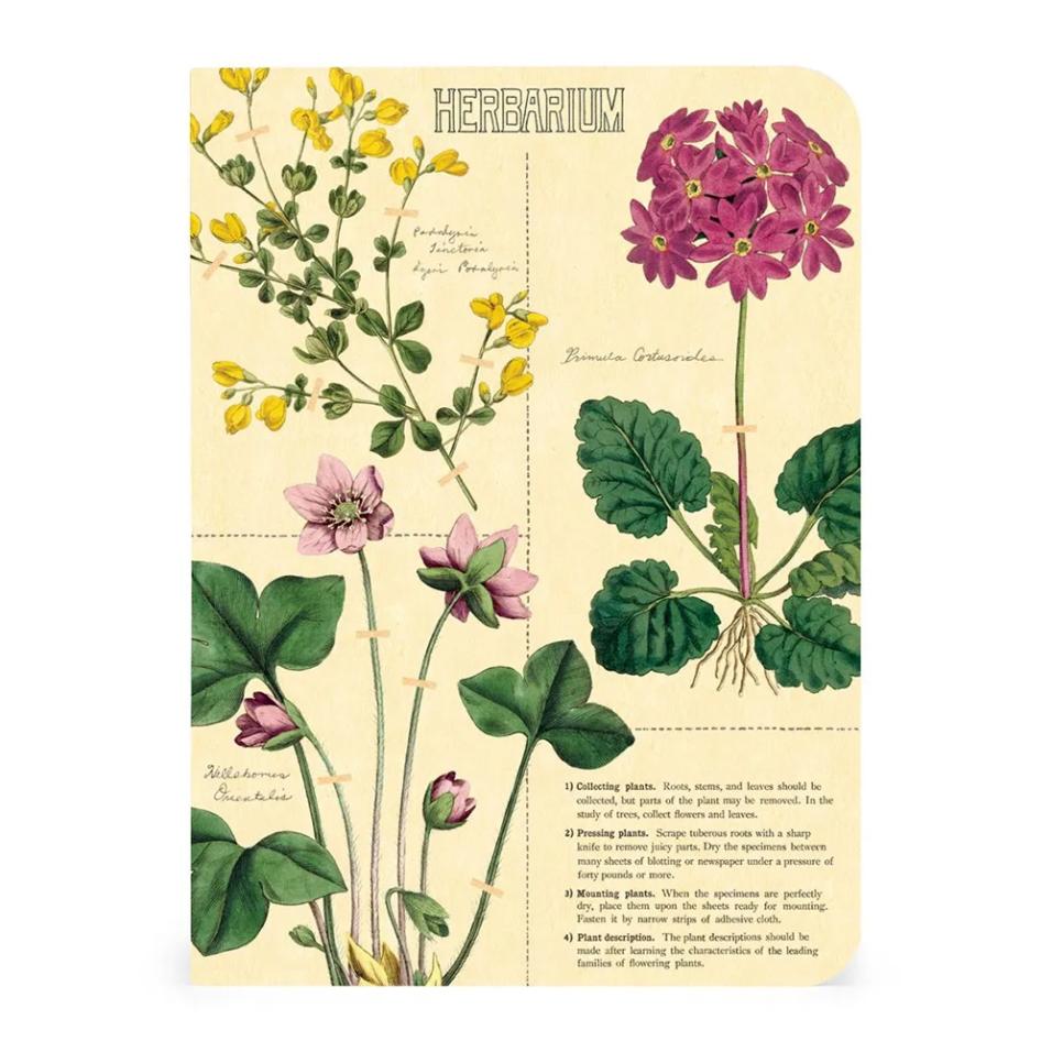 Mini caderno Cavallini 10x14cm c/3 Herbarium