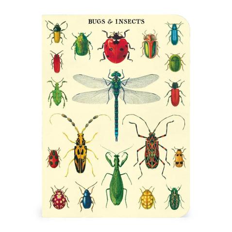 Mini caderno Cavallini 10x14cm c/3 Bugs & Insects