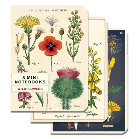 Mini caderno Cavallini 10x14cm c/3 Wildflowers