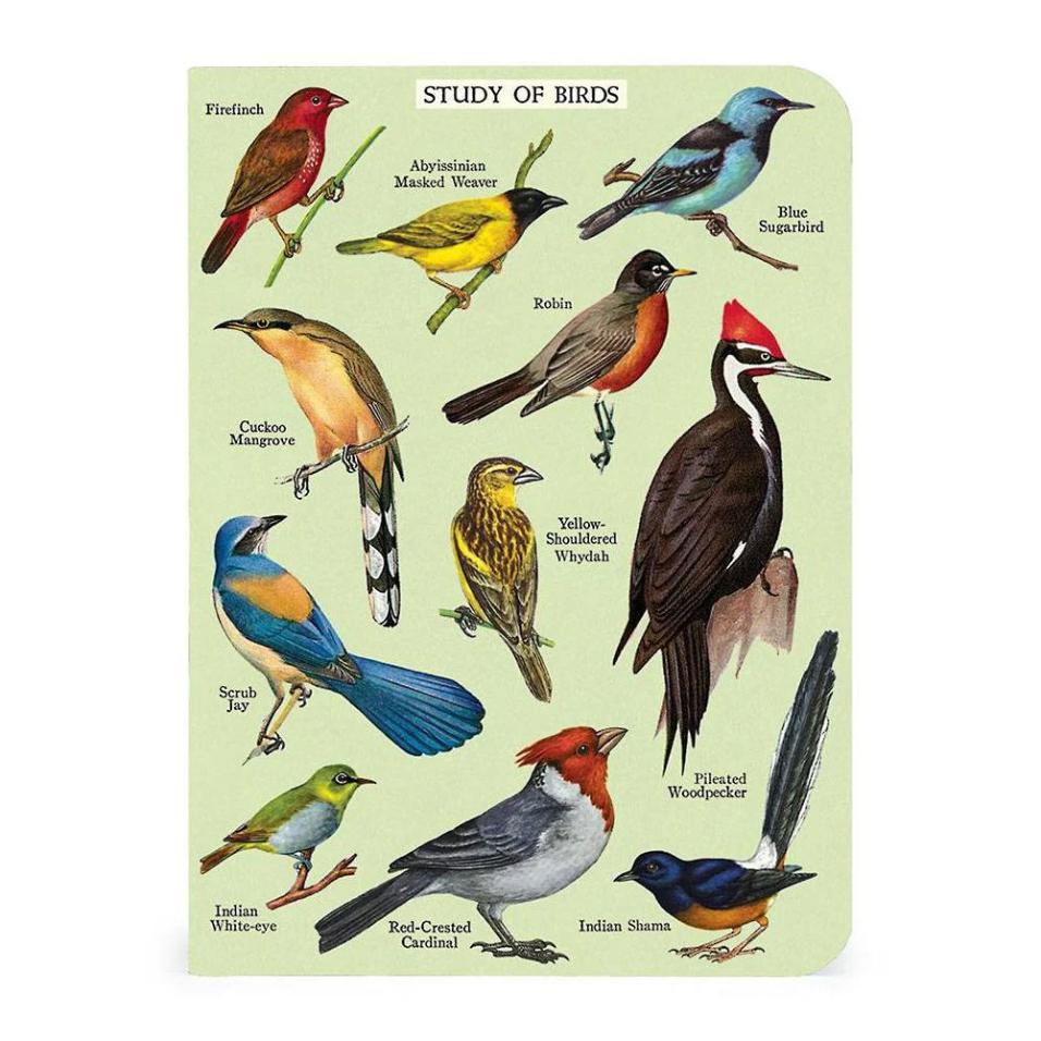 Mini caderno Cavallini 10x14cm c/3 Bird Watching