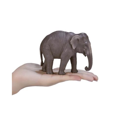 Elefante asiático | XL