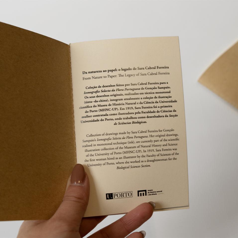 Caderno Herbarium | A6 - Feno-de-cheiro-anual, UP