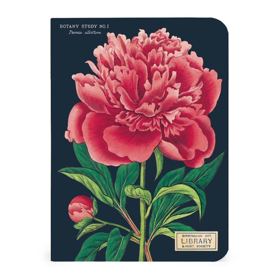 Mini caderno Cavallini 10x14cm c/3 Botany