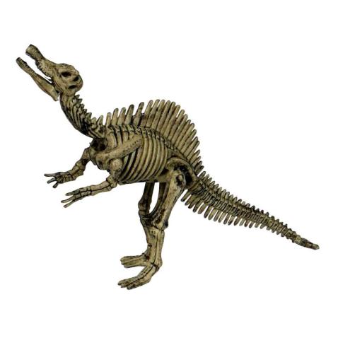 Kit Escavação T- Rex