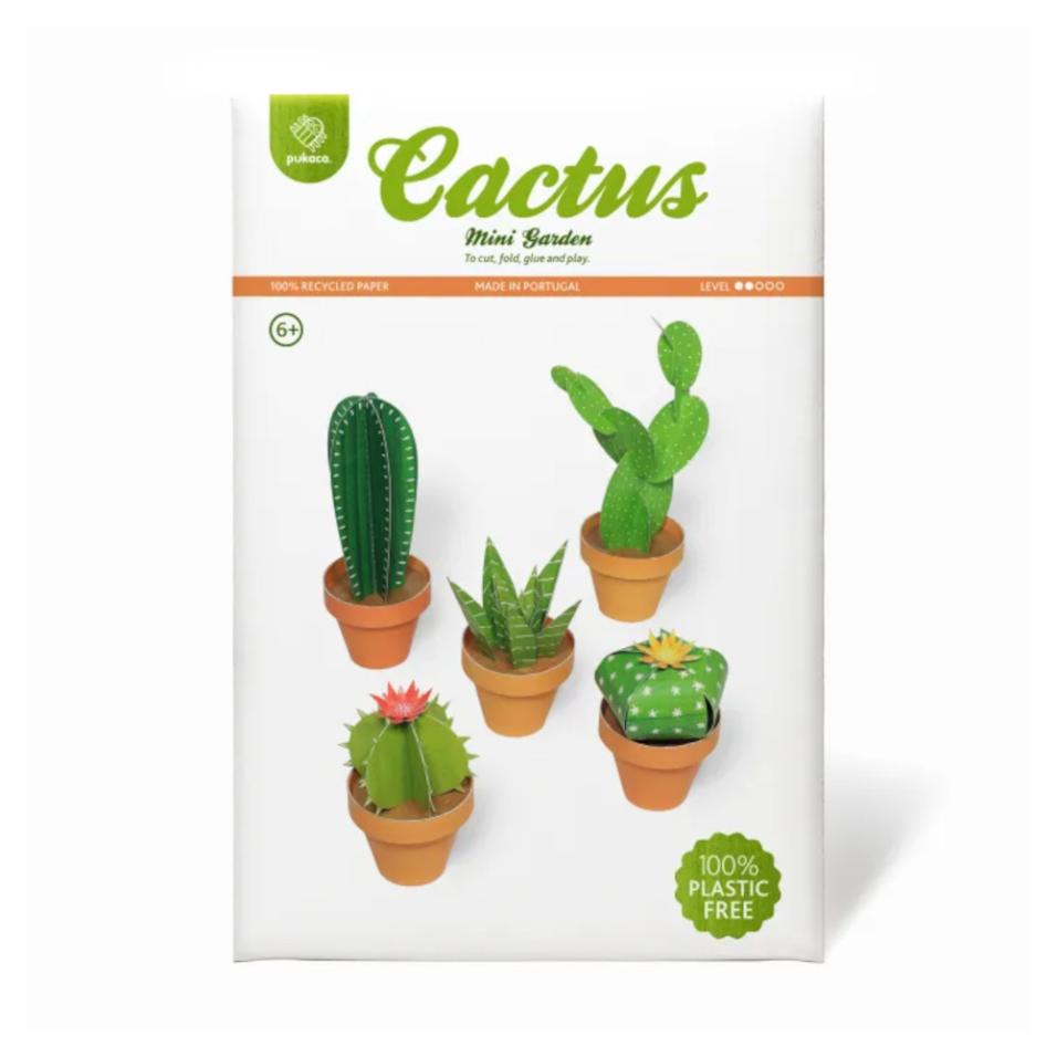 Mini Jardim | Cactos