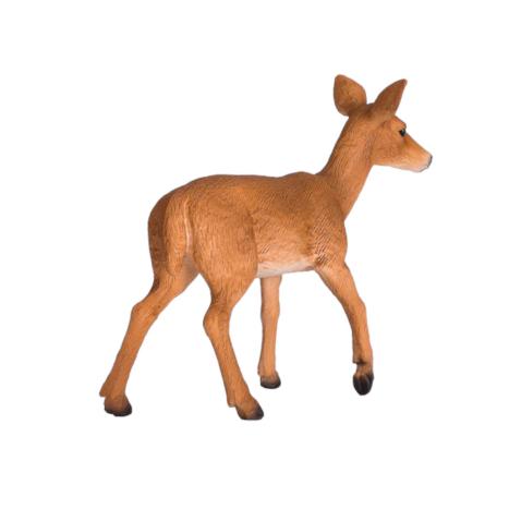 Veado-de-cauda-branca | M