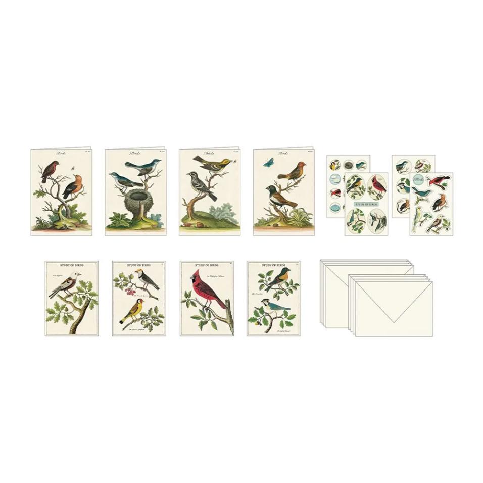 Set papelaria Cavallini Birds