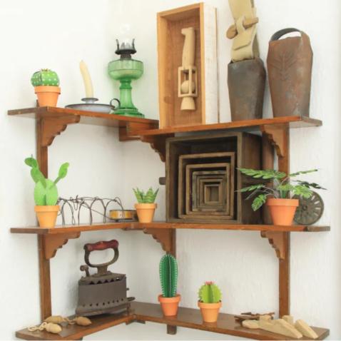 Mini Jardim | Cactos