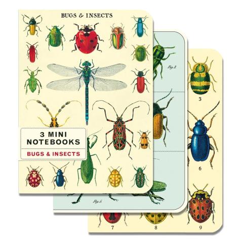 Mini caderno Cavallini 10x14cm c/3 Bugs & Insects