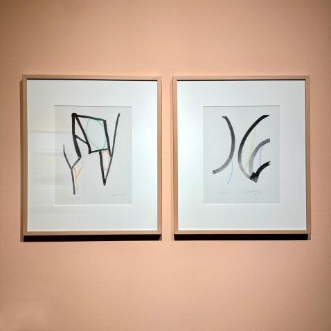 Serigrafia Risoprint 2 | 2017 | com moldura