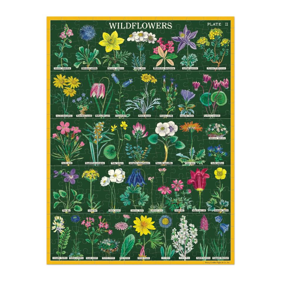 Puzzle Cavallini 240 pçs 27X35cm Wildflowers