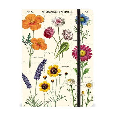 Caderno grande Cavallini 15x20cm Wildflowers