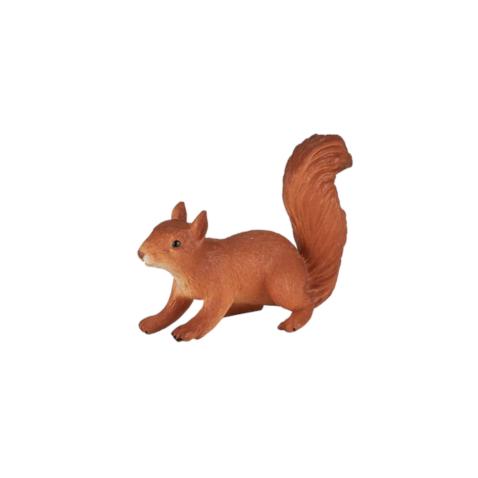 Esquilo a Correr | S