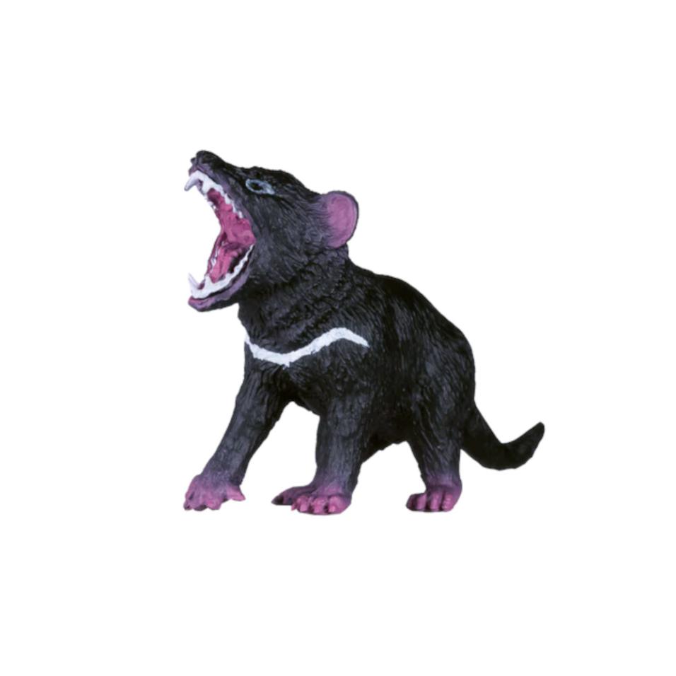 Diabo da Tasmânia | M