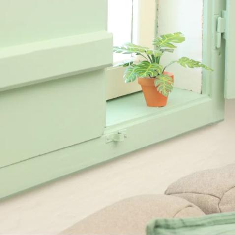 Mini Jardim | Monstera deliciosa