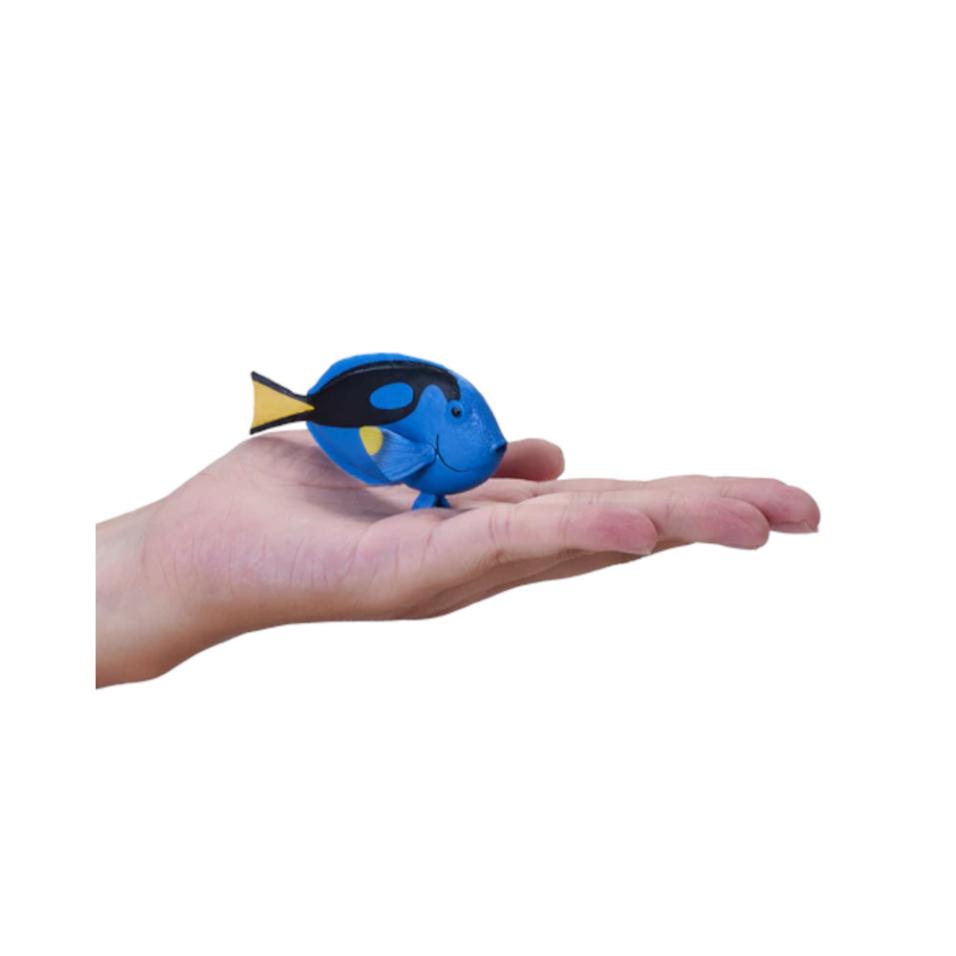 Cirurgião Patela |  M