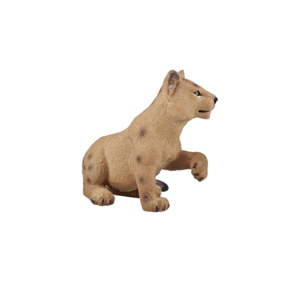 Leão Filhote Sentado | S